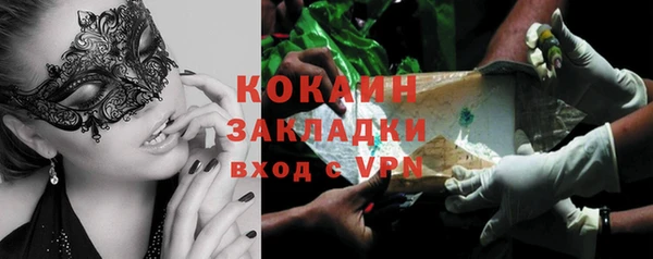 прущие грибы Киреевск