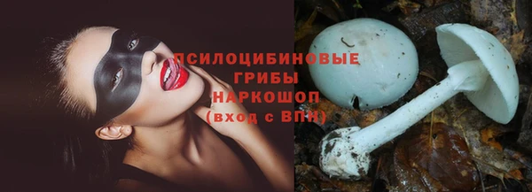 круглые Арсеньев