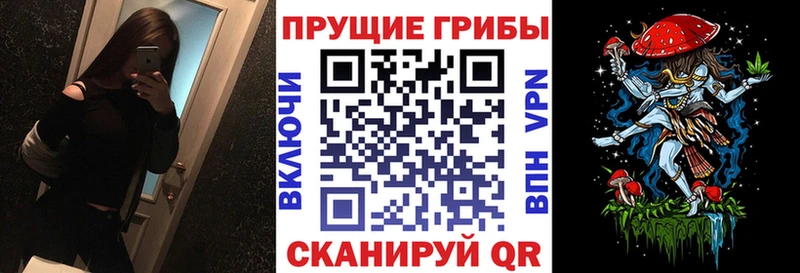 Галлюциногенные грибы MAGIC MUSHROOMS Кувшиново